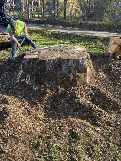 Stump Removal