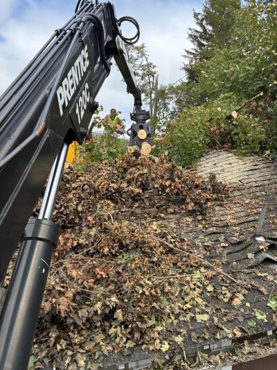 Emergency Tree Service